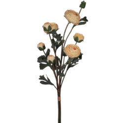 Artificial Ranunculus Bundle - 50cmL / Champagne