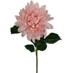 Autumn Dahlia Stem - 80cmL / Light Pink