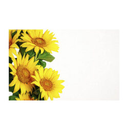 Sunflower-Card-50